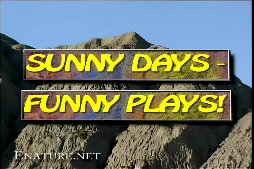 Enature - Sunny Days – Funny Plays - Living with joy and ease as part of the naturist and nudist lifestyle