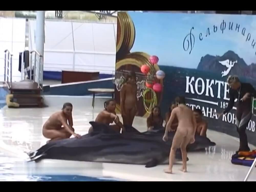 Relaxing at the dolphinarium - Nudism helps improve health and boost self-confidence